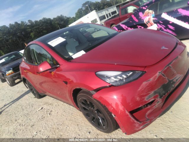 2021 TESLA MODEL Y 5YJYGDEE7MF125255