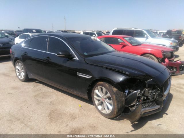 2019 JAGUAR XF SAJBD4FX3KCY79313