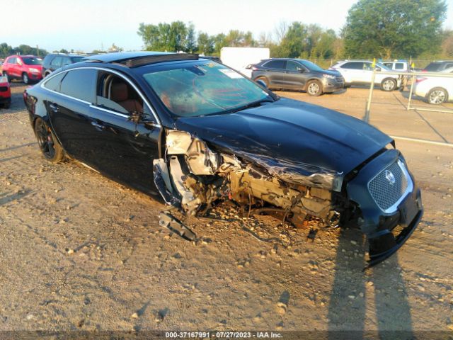 2014 JAGUAR XJ SAJWJ2GD6E8V66301