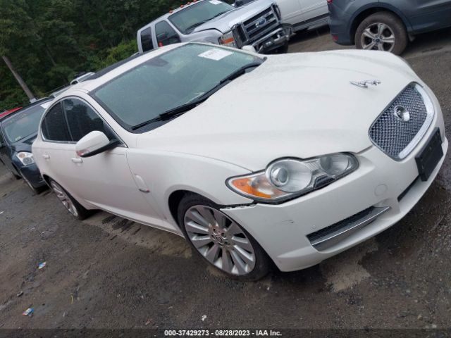 2009 JAGUAR XF SAJWA06B69HR03463