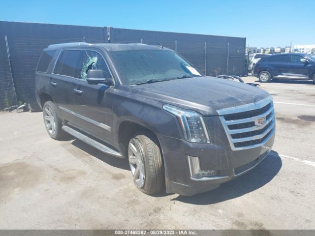 2016 CADILLAC ESCALADE 1GYS4BKJ5GR312295