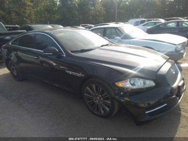 2014 JAGUAR XJ SAJWA1GT5EMV64855
