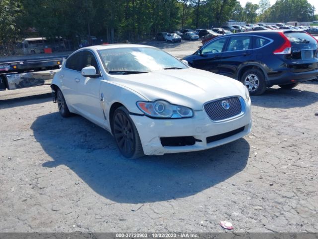 2009 JAGUAR XF SAJWA06B69HR05066