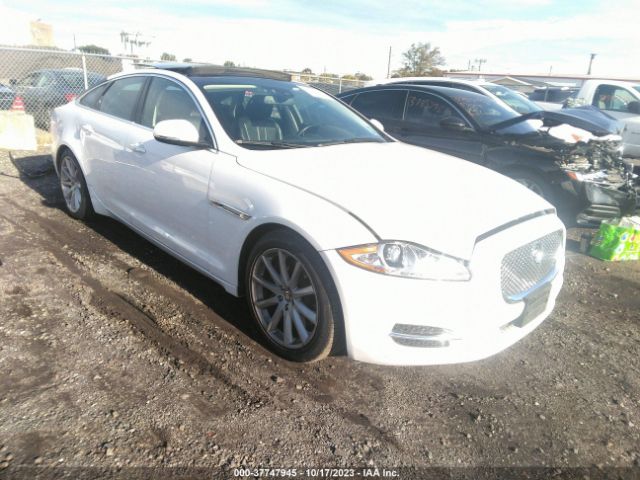 2013 JAGUAR XJ SAJWJ1CD7D8V56102