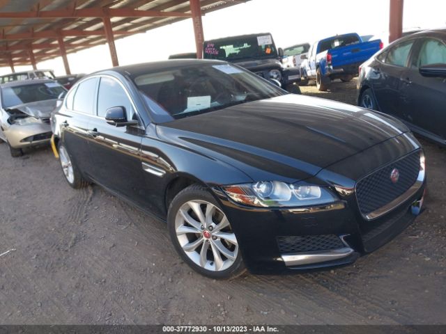2019 JAGUAR XF SAJBJ4FX4KCY79507