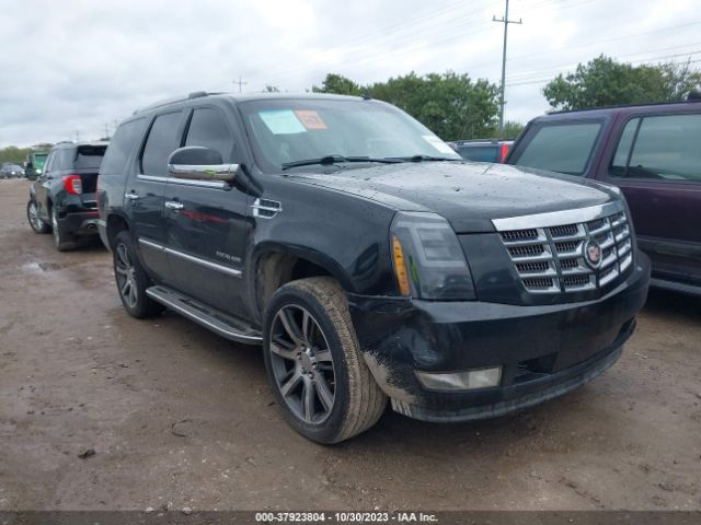 2013 CADILLAC ESCALADE 1GYS3BEF2DR251087