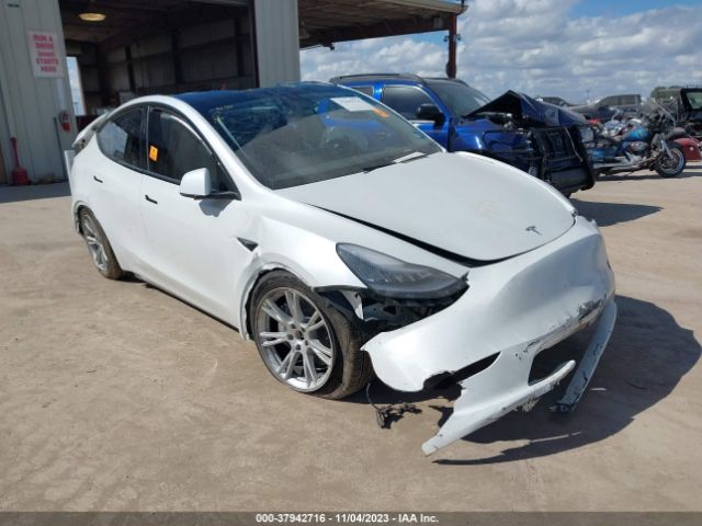 2023 TESLA MODEL Y 7SAYGDEE4PA146892