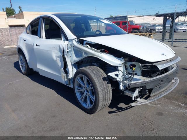 2021 TESLA MODEL Y 5YJYGDED1MF105512