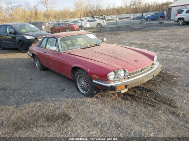 1988 JAGUAR XJS SAJNA5847JC143732
