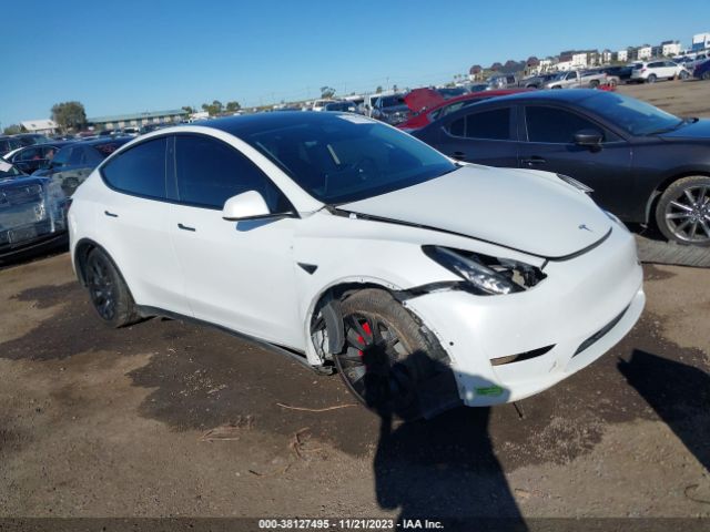2021 TESLA MODEL Y 5YJYGDEE1MF296602