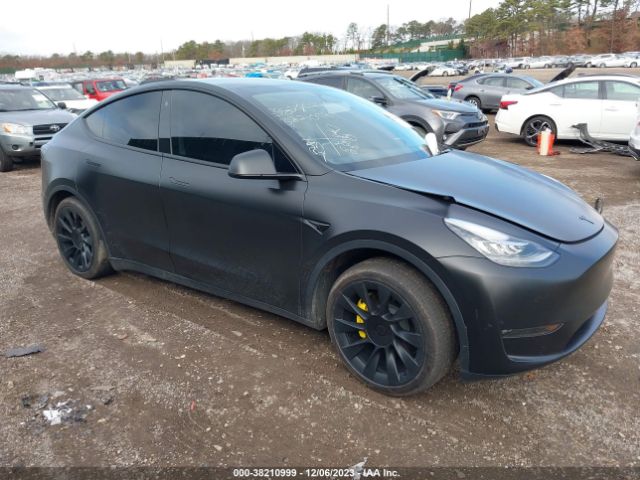 2023 TESLA MODEL Y 7SAYGDEE0PA031612