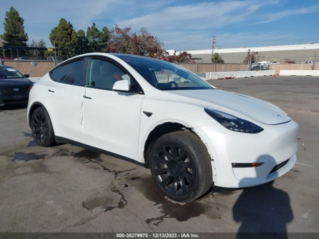 2023 TESLA MODEL Y 7SAYGDEE9PF675726