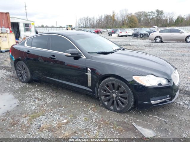 2009 JAGUAR XF SAJWA06B69HR06962