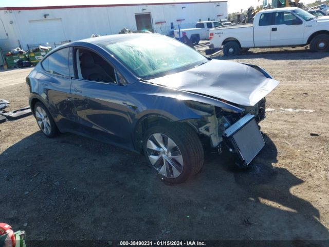 2023 TESLA MODEL Y 7SAYGAEE0PF624503
