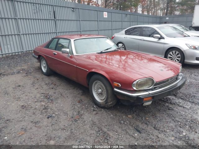 1984 JAGUAR XJS SAJNV5841EC114270