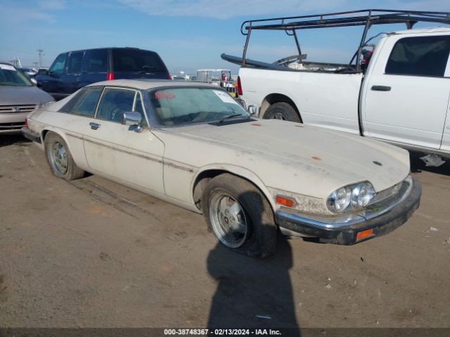 1985 JAGUAR XJS SAJNV584XFC117895