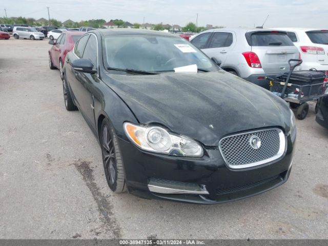 2010 JAGUAR XF SAJWA0GB8ALR59114
