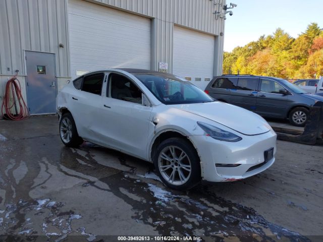 2020 TESLA MODEL Y 5YJYGDEE7LF016955