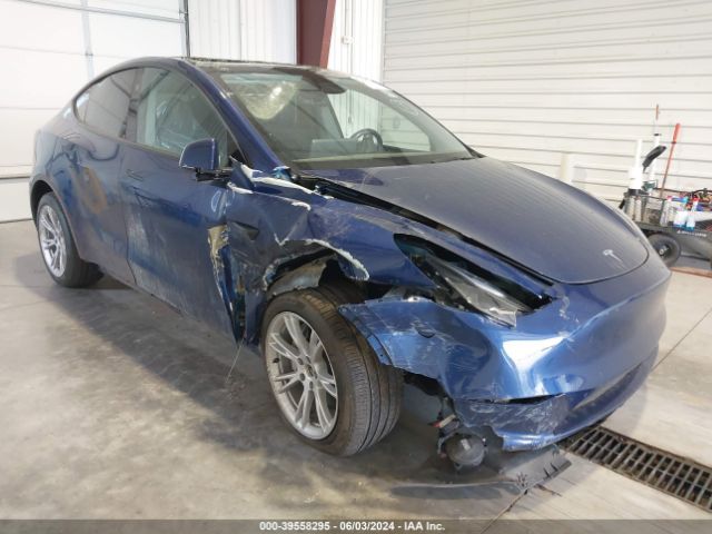 2024 TESLA MODEL Y 7SAYGDEEXRA244425