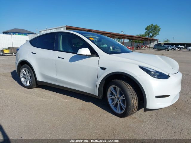 2024 TESLA MODEL Y 7SAYGDED6RF066040