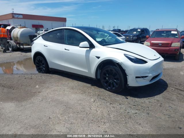 2023 TESLA MODEL Y 7SAYGDEE9PF753051