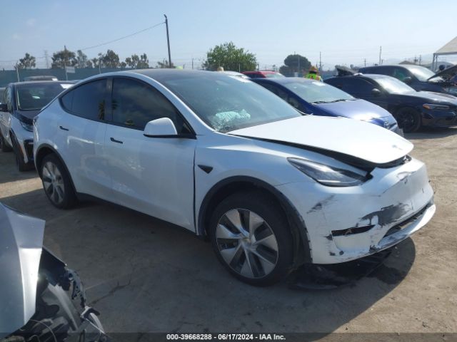 2023 TESLA MODEL Y 7SAYGDEE3PA067942
