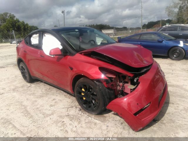2021 TESLA MODEL Y 5YJYGDEE8MF151783