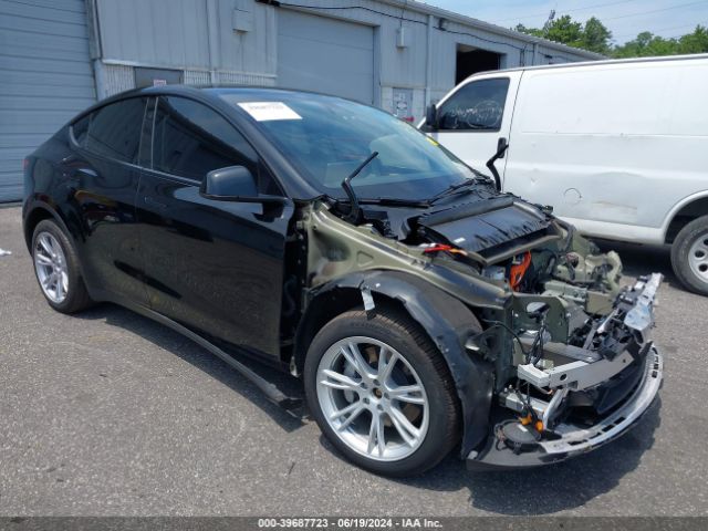 2023 TESLA MODEL Y 7SAYGDEE2PA186114