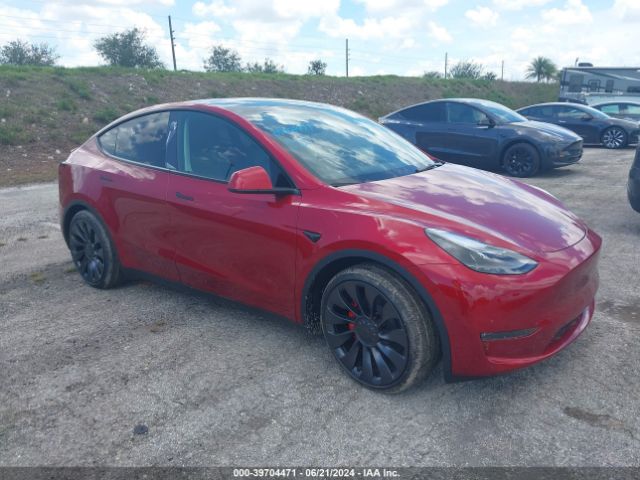 2024 TESLA MODEL Y 7SAYGDEF7RA282834