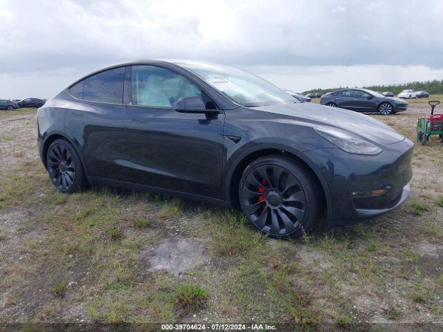 2024 TESLA MODEL Y 7SAYGDEF3RF051027