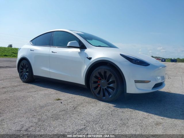 2024 TESLA MODEL Y 7SAYGDEF3RA267652