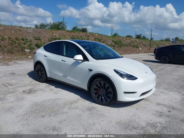 2024 TESLA MODEL Y 7SAYGDEF2RF064903