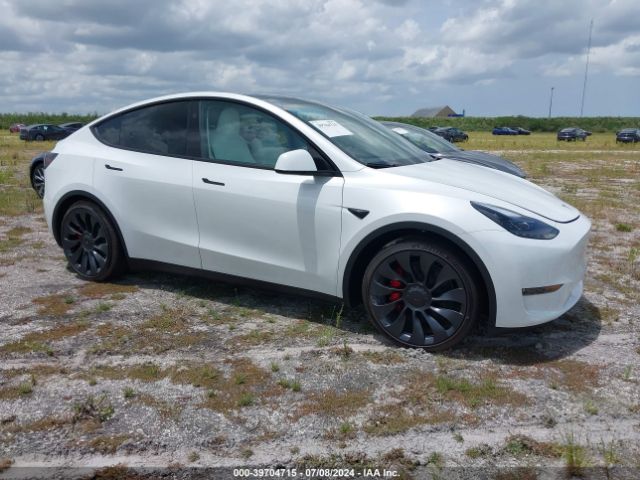 2024 TESLA MODEL Y 7SAYGDEF2RA268971