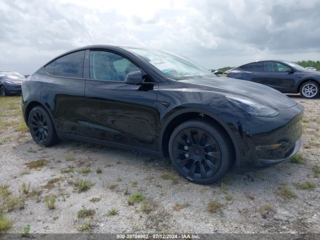 2024 TESLA MODEL Y 7SAYGDED8RF088248