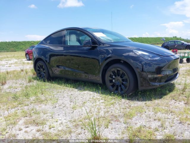 2024 TESLA MODEL Y 7SAYGDED5RF084030