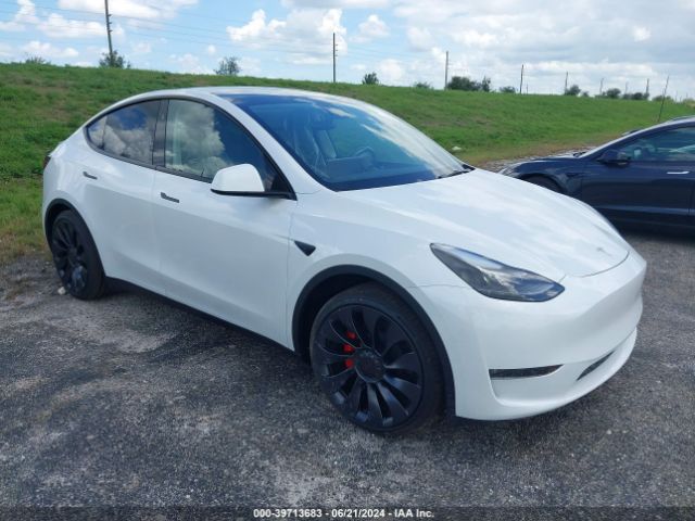 2024 TESLA MODEL Y 7SAYGDEF6RA280721