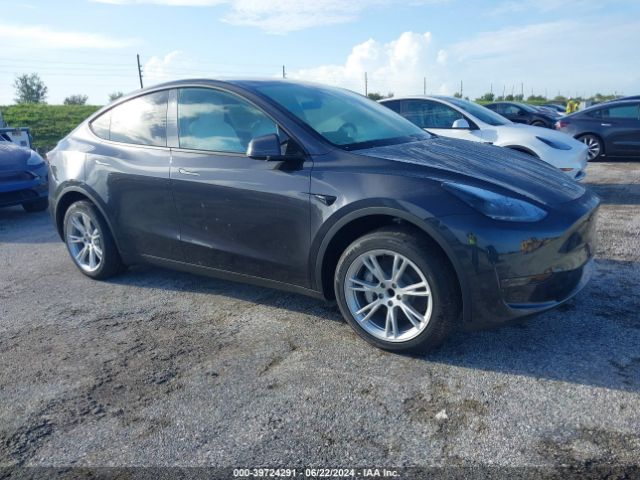 2024 TESLA MODEL Y 7SAYGDED2RF093106