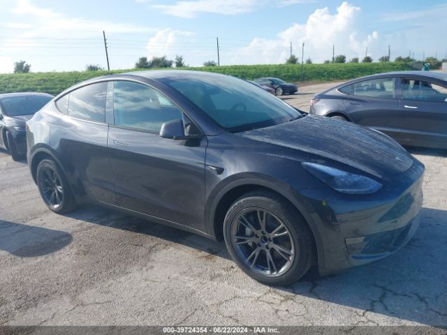 2024 TESLA MODEL Y 7SAYGDED6RF094503