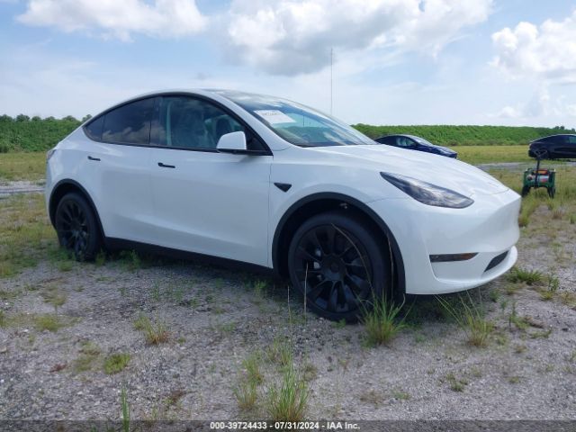 2024 TESLA MODEL Y 7SAYGDED9RF093295