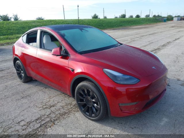 2024 TESLA MODEL Y 7SAYGDEE9RA259644