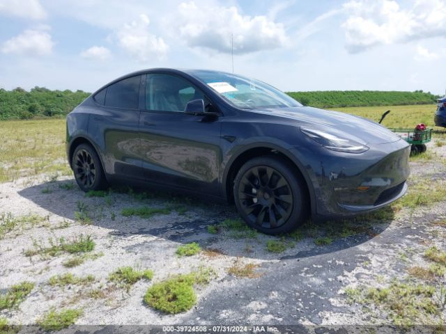 2024 TESLA MODEL Y 7SAYGDEE9RA293132
