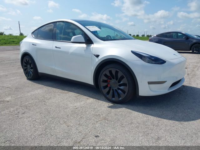 2024 TESLA MODEL Y 7SAYGDEF1RA281842