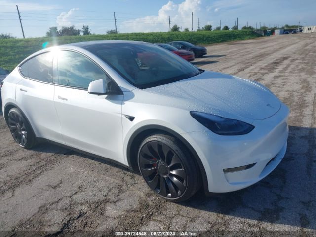 2024 TESLA MODEL Y 7SAYGDEF2RA289139
