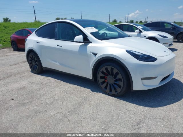 2024 TESLA MODEL Y 7SAYGDEF6RA278452
