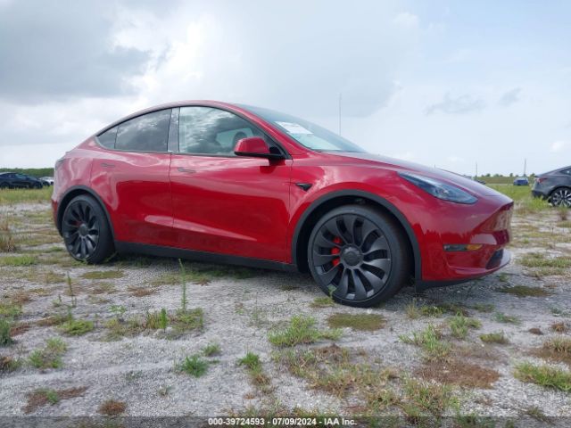 2024 TESLA MODEL Y 7SAYGDEF2RA283275
