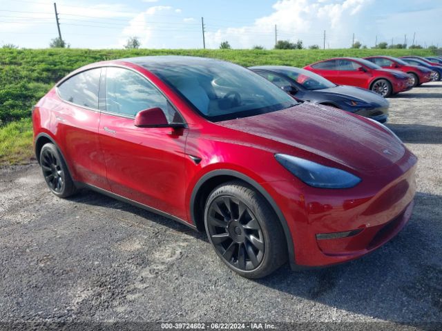 2024 TESLA MODEL Y 7SAYGDEE4RA242329