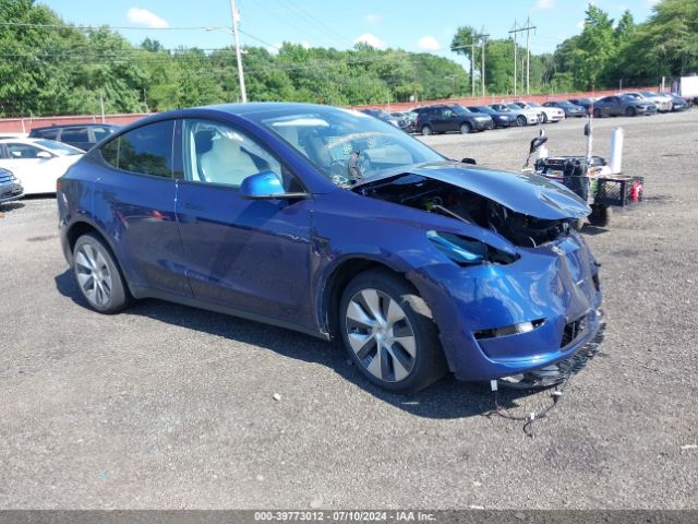2023 TESLA MODEL Y 7SAYGDEEXPF703419