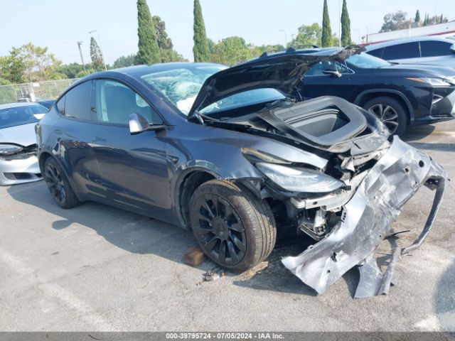 2021 TESLA MODEL Y 5YJYGDEDXMF134443