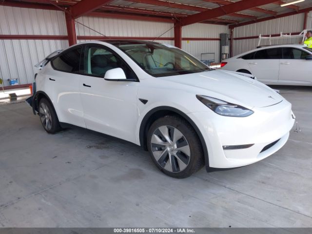 2023 TESLA MODEL Y 7SAYGDEE1PF738088
