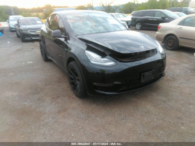 2021 TESLA MODEL Y 5YJYGAEE1MF185966
